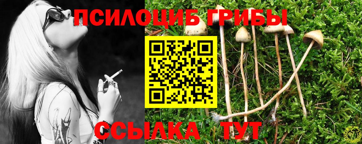 Псилоцибиновые грибы мухоморы Ивантеевка